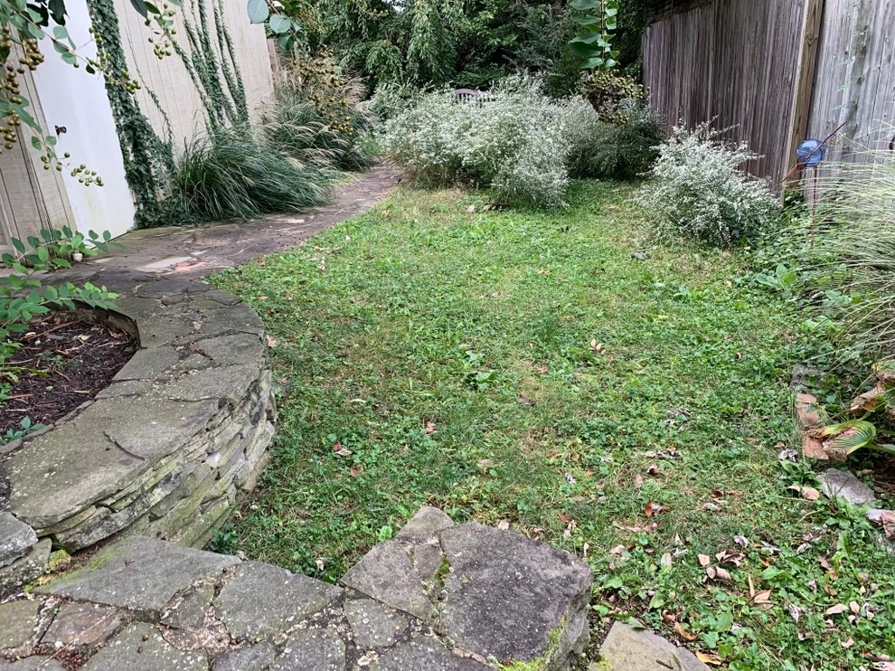 DeWitt St., Alexandria by Native Plant Landscape Design Corp - Photo 2