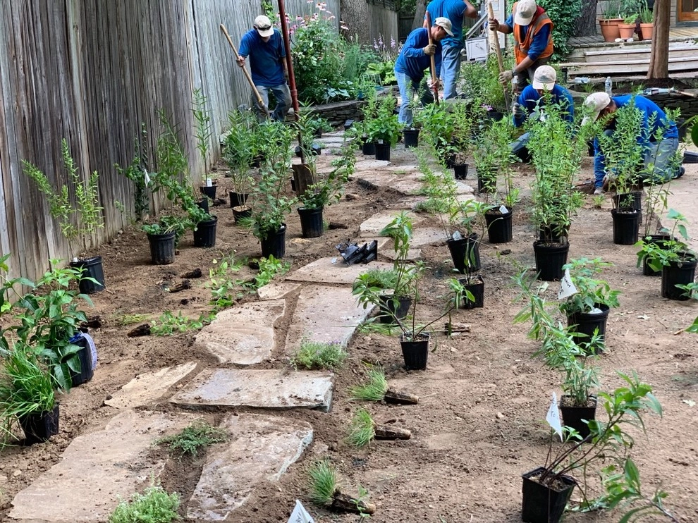 DeWitt St., Alexandria by Native Plant Landscape Design Corp - Photo 5