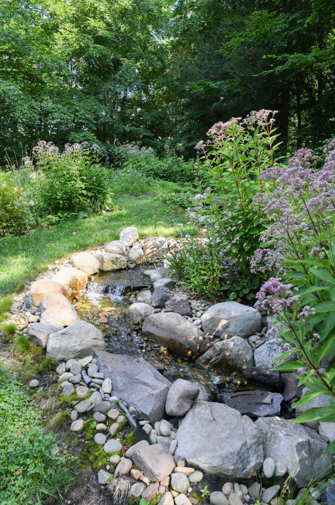 Pollinator Garden McLean, Va by Native Plant Landscape Design Corp - Photo 10