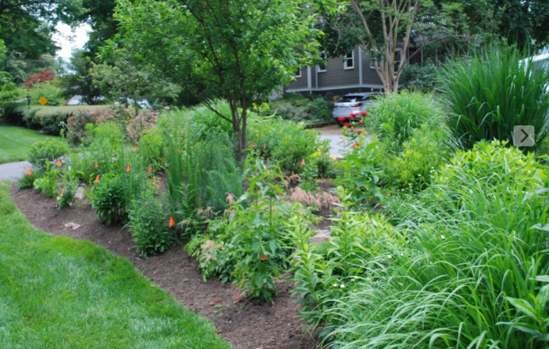 Side Yard Garden Design & Build | Falls Church VA by Native Plant Landscape Design Corp - Photo 10