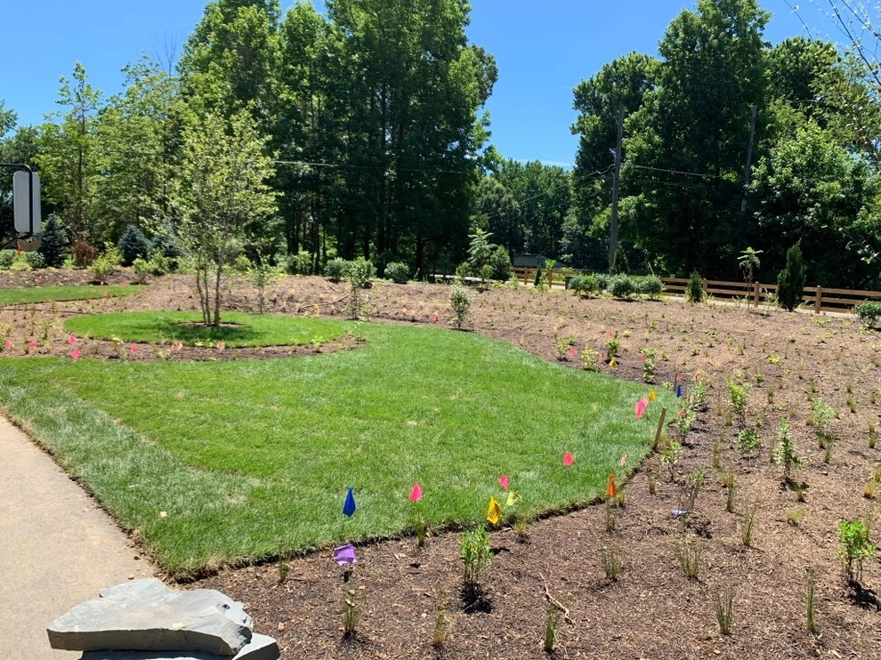 Lorton Front and Side Garden by Native Plant Landscape Design Corp - Photo 5