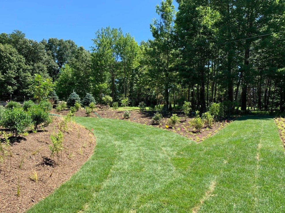 Lorton Front and Side Garden by Native Plant Landscape Design Corp - Photo 15