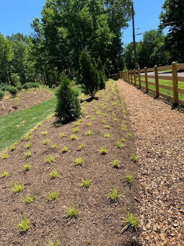Lorton Front and Side Garden by Native Plant Landscape Design Corp - Photo 3