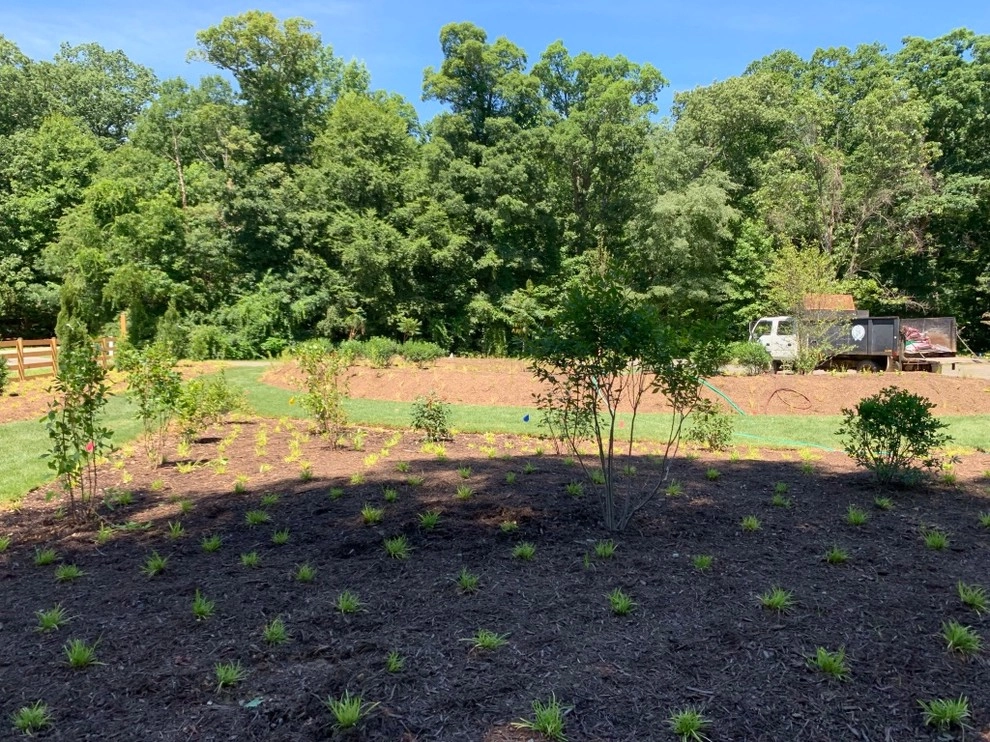 Lorton Front and Side Garden by Native Plant Landscape Design Corp - Photo 9
