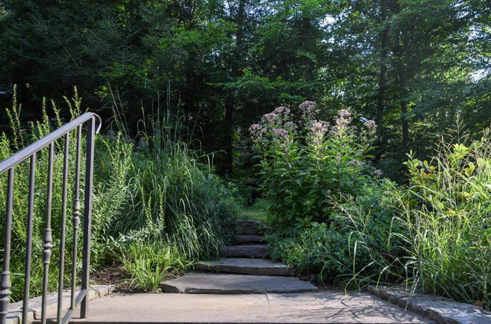 Pollinator Garden McLean, Va by Native Plant Landscape Design Corp - Photo 6