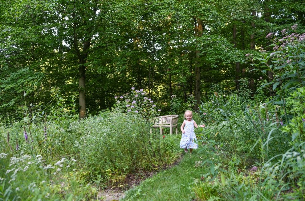 Pollinator Garden McLean, Va by Native Plant Landscape Design Corp - Photo 8
