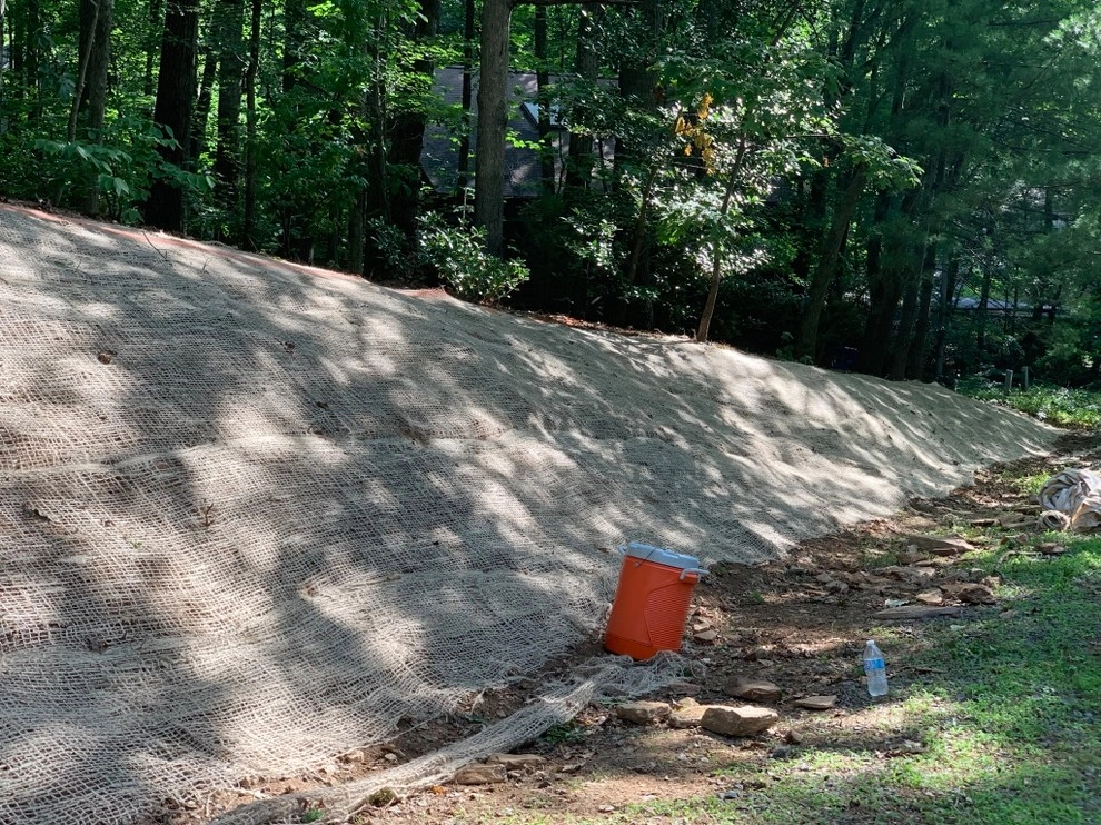 Reston Front Yard Garden by Native Plant Landscape Design Corp - Photo 2