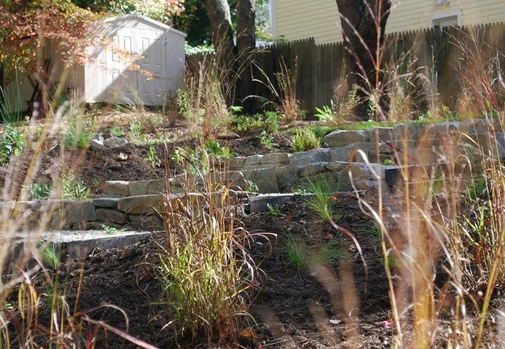 Falls Church Backyard by Native Plant Landscape Design Corp - Photo 9