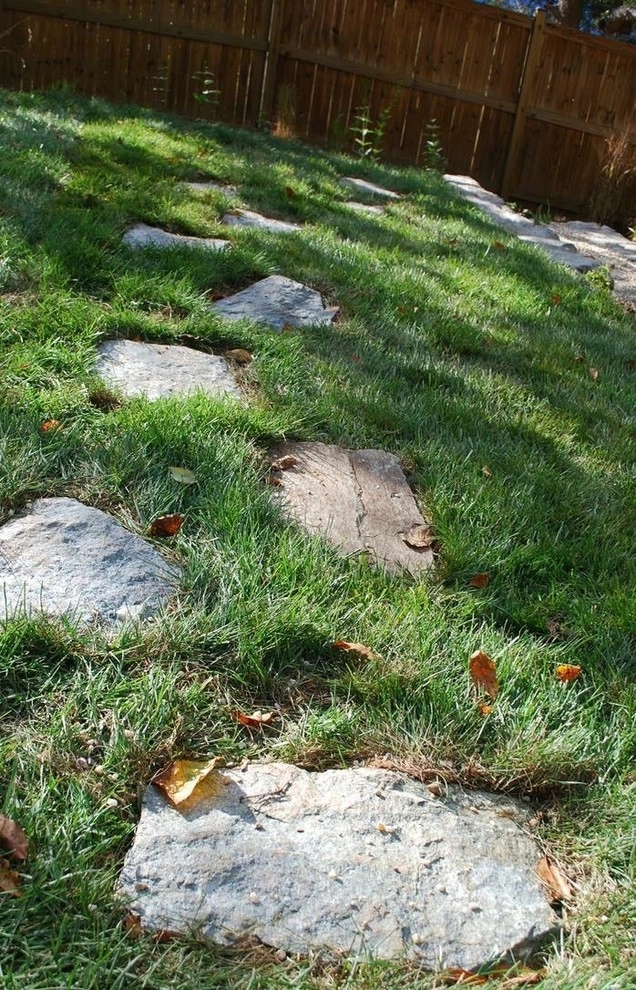 Falls Church Backyard by Native Plant Landscape Design Corp - Photo 24