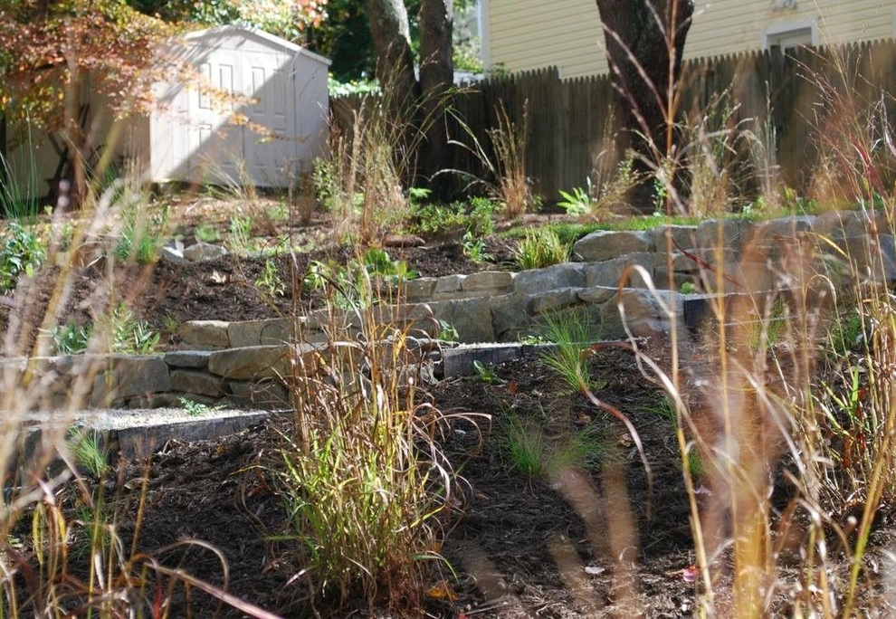 Falls Church Backyard by Native Plant Landscape Design Corp - Photo 22