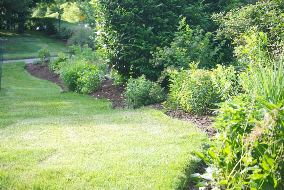 Side Yard Garden Design & Build | Falls Church VA by Native Plant Landscape Design Corp - Photo 2