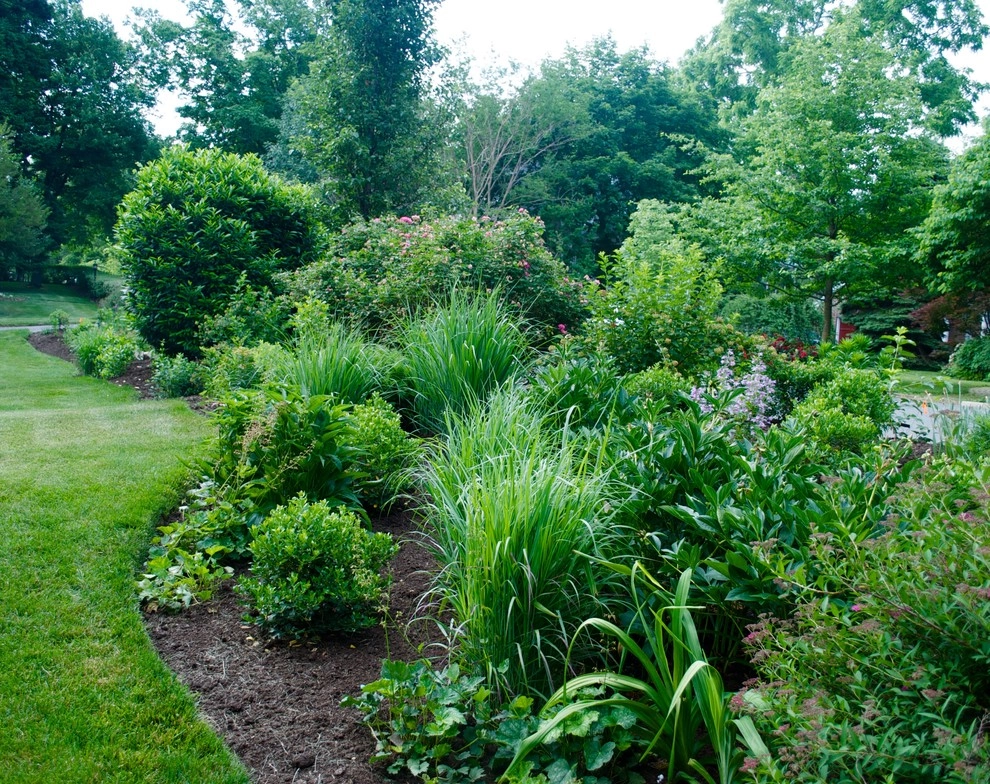 Side Yard Garden Design & Build | Falls Church VA by Native Plant Landscape Design Corp - Photo 5