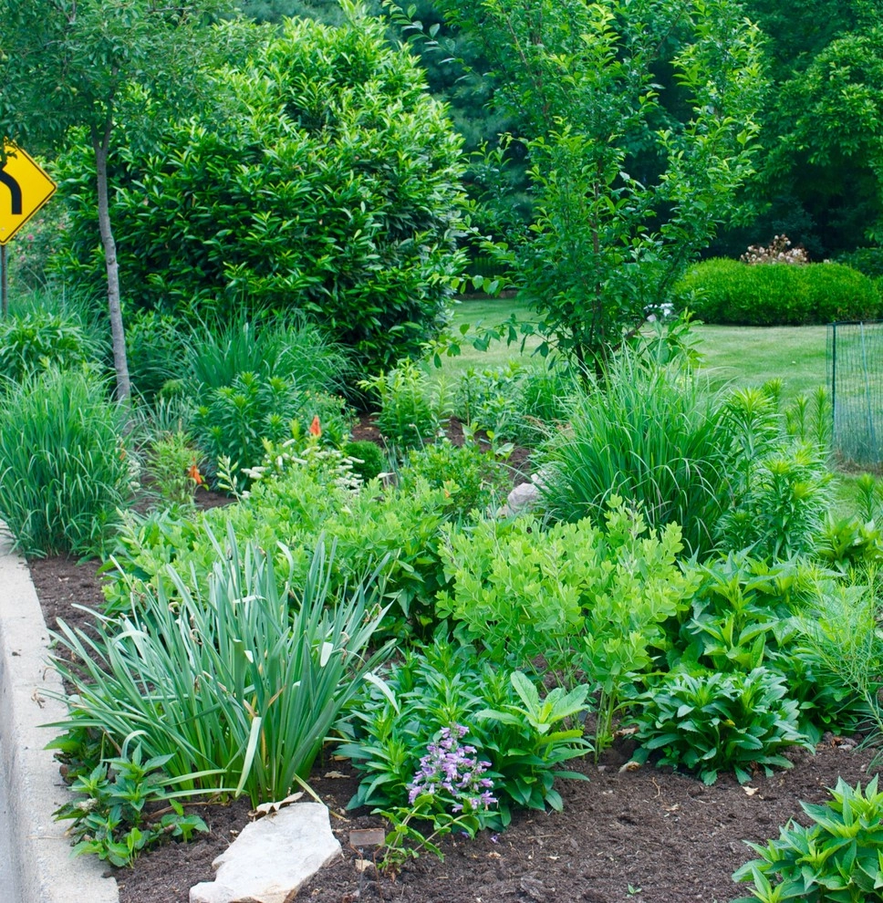 Side Yard Garden Design & Build | Falls Church VA by Native Plant Landscape Design Corp - Photo 14