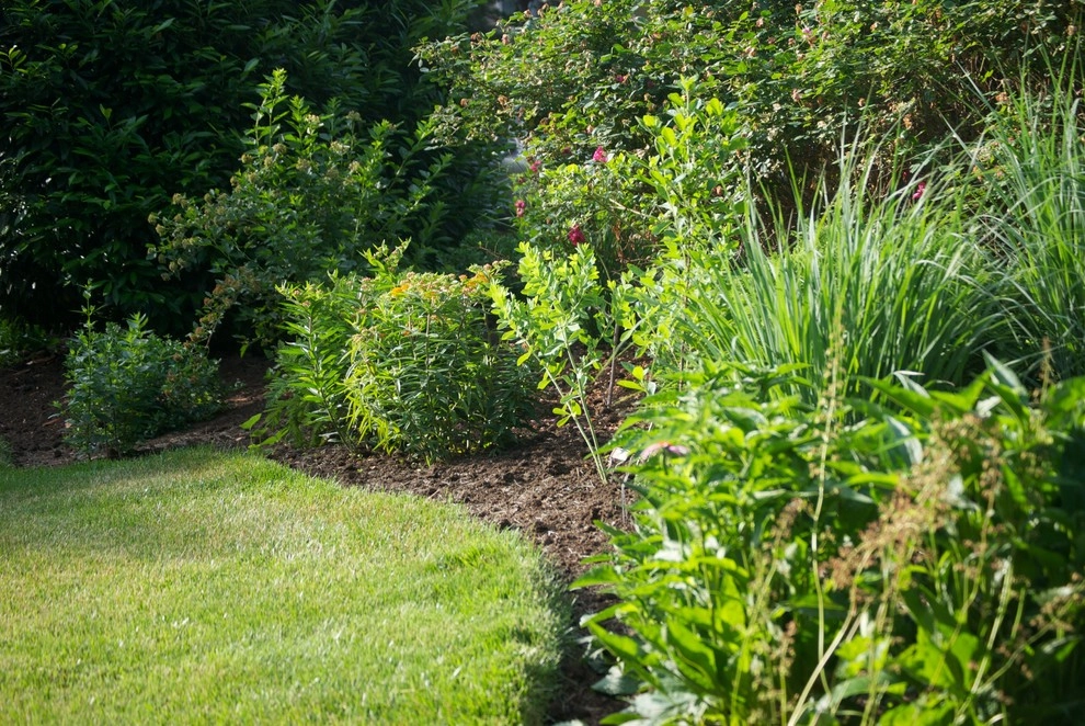 Side Yard Garden Design & Build | Falls Church VA by Native Plant Landscape Design Corp - Photo 8