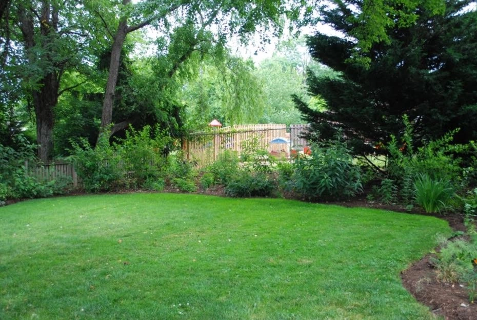 City Backyard Garden | Falls Church VA by Native Plant Landscape Design Corp - Photo 3