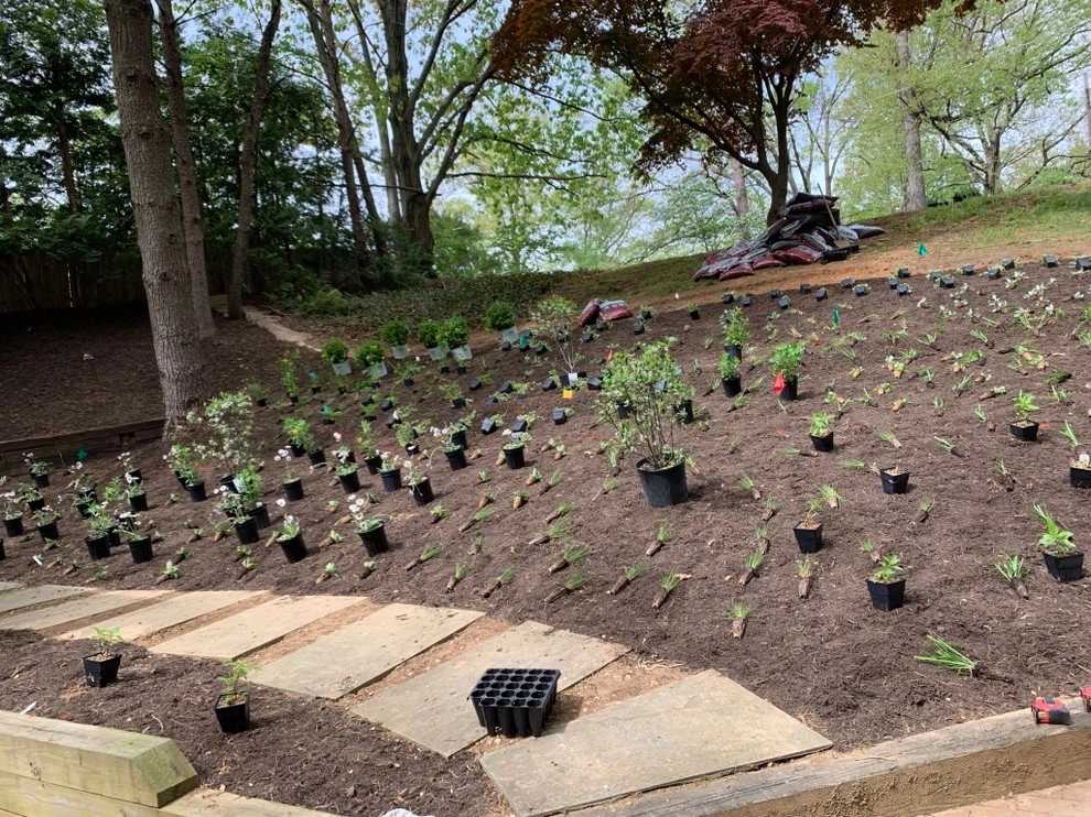 Lake Barcroft by Native Plant Landscape Design Corp - Photo 3