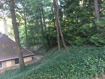 Lake Barcroft by Native Plant Landscape Design Corp - Photo 4