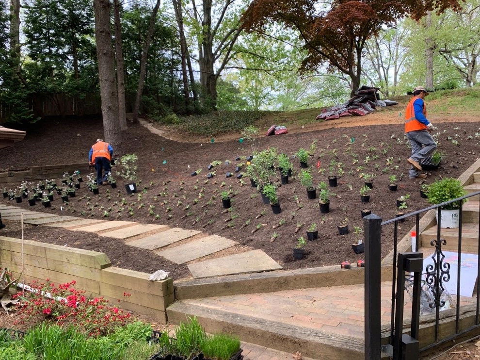 Lake Barcroft by Native Plant Landscape Design Corp - Photo 2