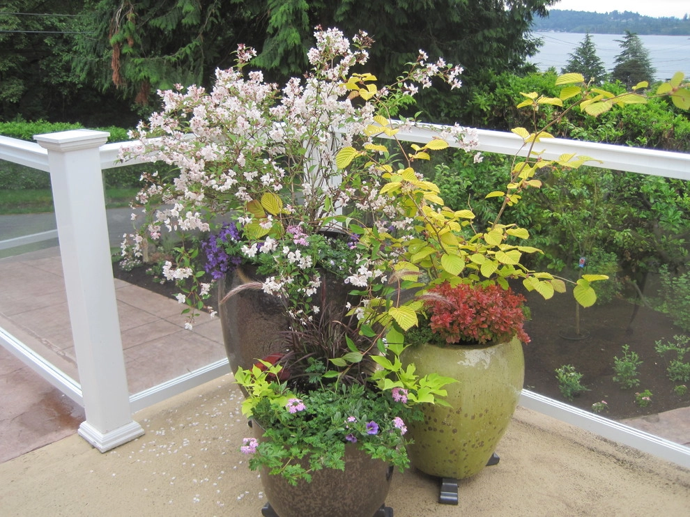 Bellevue - Curb Appeal and Color by Natural Greenscapes LLC - Photo 10