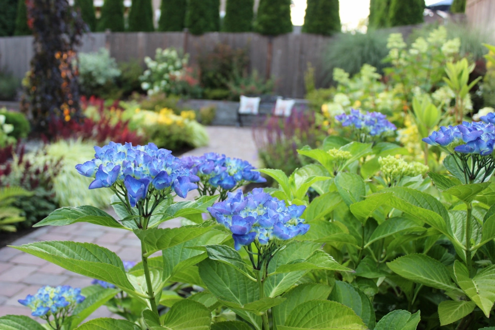 Natural Greenscapes LLC - Photo 10