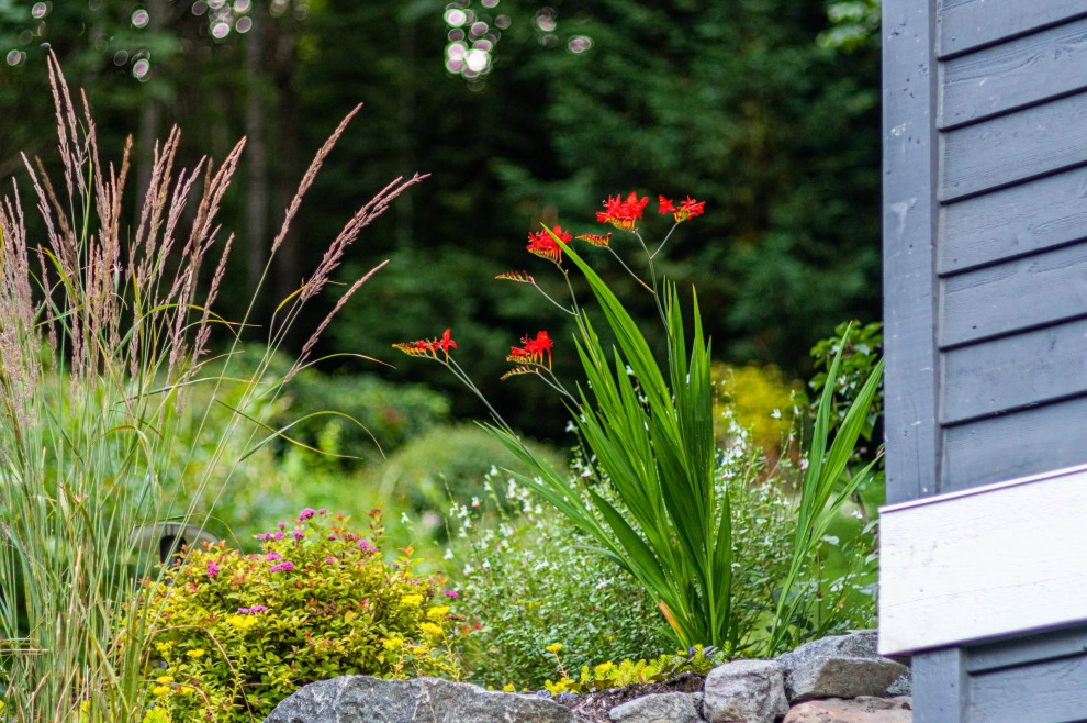 Mercer Island - Layered Planting Design by Natural Greenscapes LLC - Photo 15