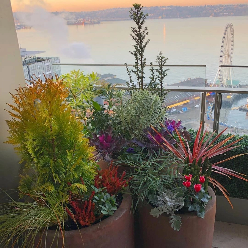 Downtown Living High-end Containers by Natural Greenscapes LLC - Photo 6