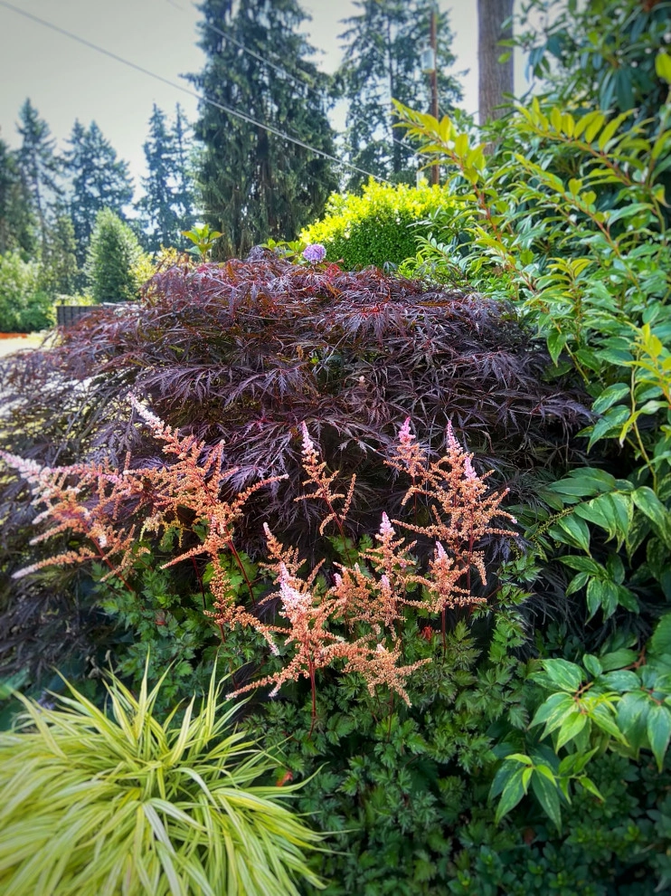 Natural Greenscapes LLC - Photo 11