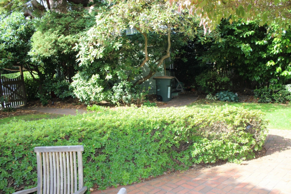 Seattle - Oasis in the City by Natural Greenscapes LLC - Photo 2