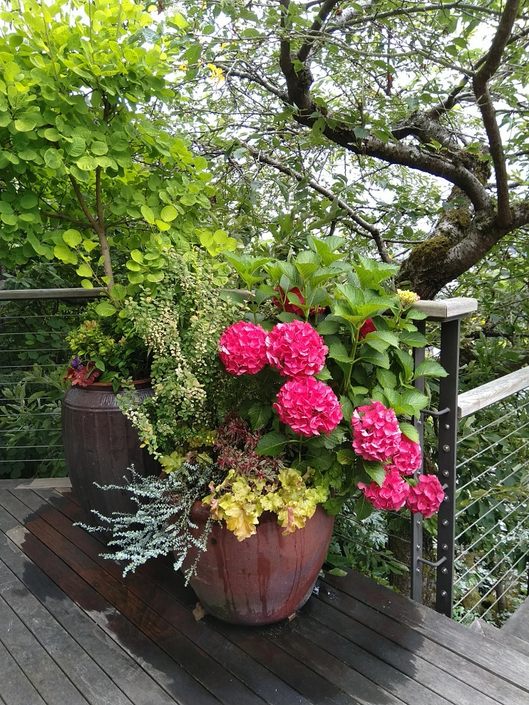 Seattle - Oasis in the City by Natural Greenscapes LLC - Photo 16