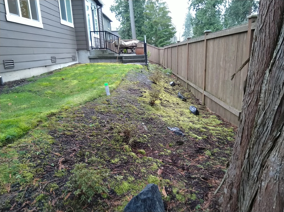 Bothell - Backyard Retreat by Natural Greenscapes LLC - Photo 2
