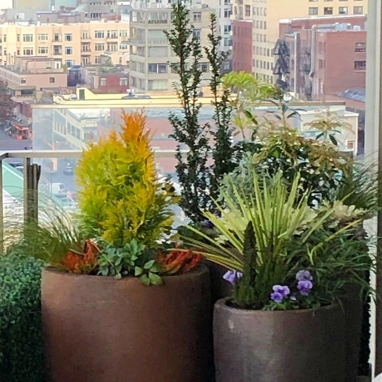 Downtown Living High-end Containers by Natural Greenscapes LLC - Photo 3
