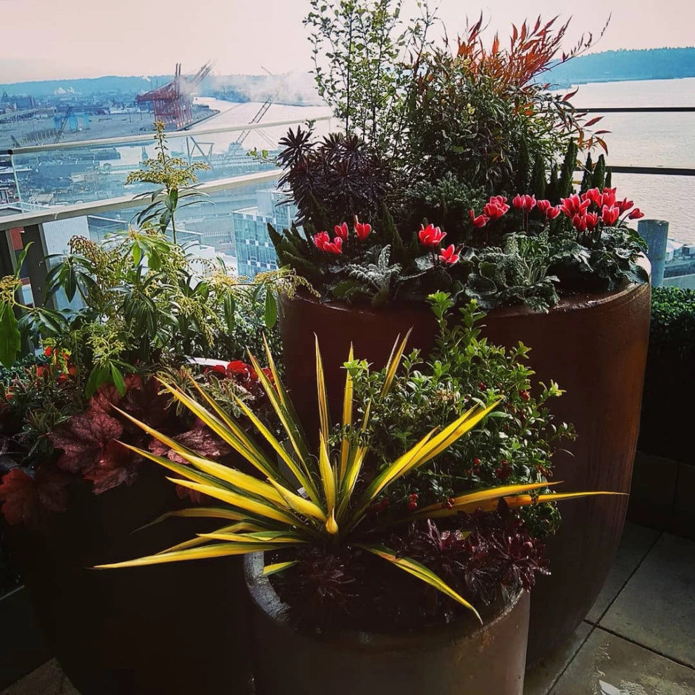Downtown Living High-end Containers by Natural Greenscapes LLC - Photo 2
