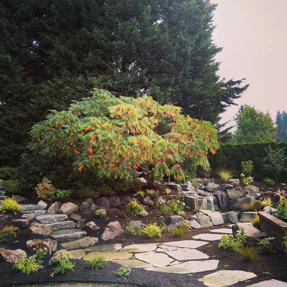 Woodinville - Recently Installed by Natural Greenscapes LLC - Photo 4