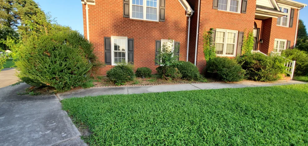 Property Professionals VA LLC - Photo 4