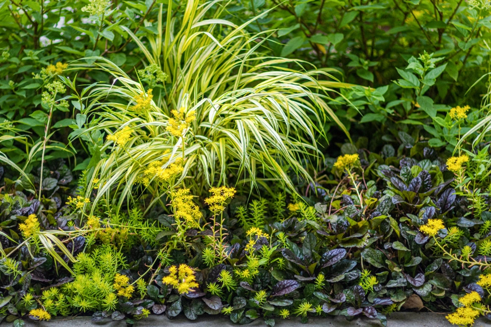 Mercer Island - Layered Planting Design by Natural Greenscapes LLC - Photo 14