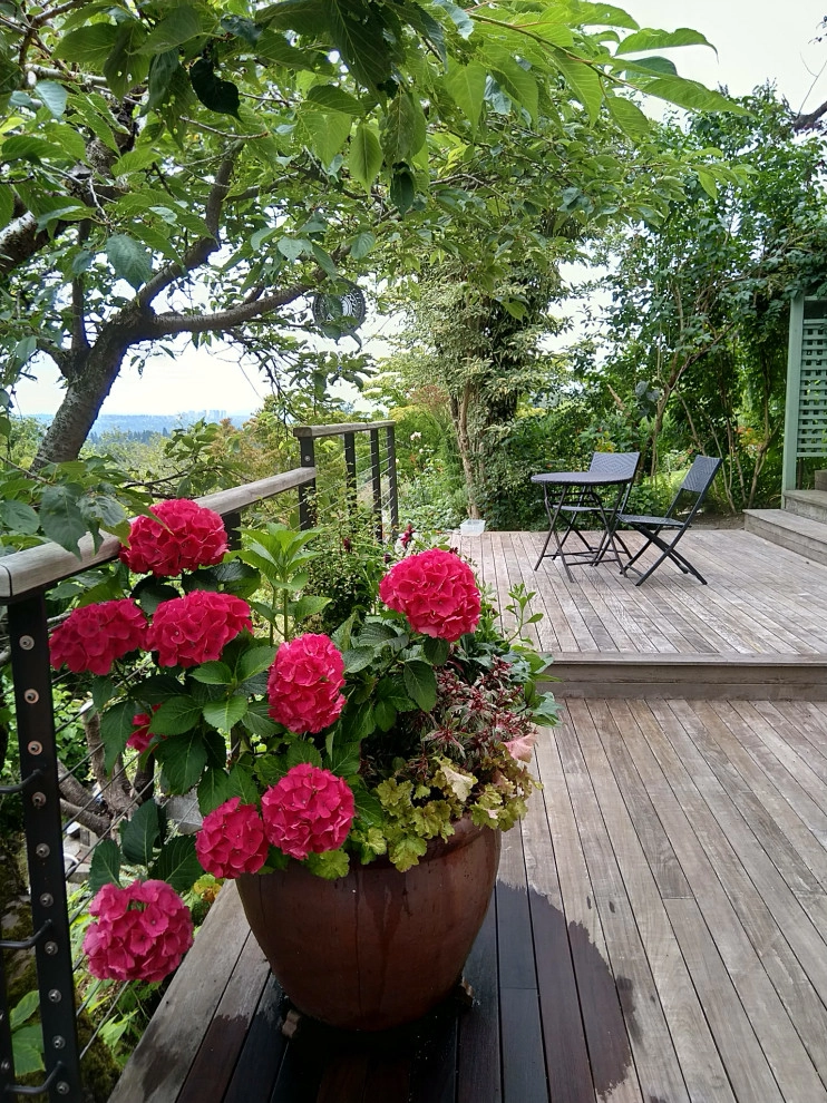 Seattle - Oasis in the City by Natural Greenscapes LLC - Photo 7