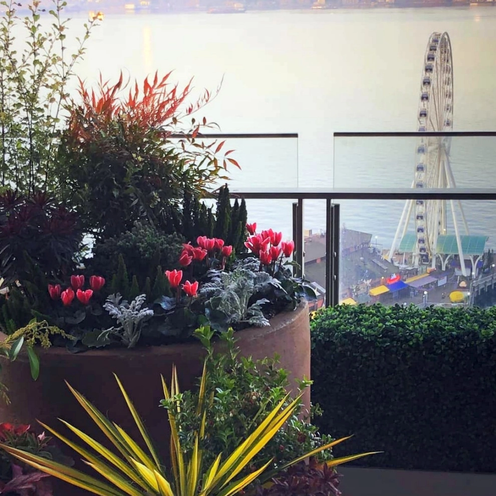 Downtown Living High-end Containers by Natural Greenscapes LLC - Photo 5