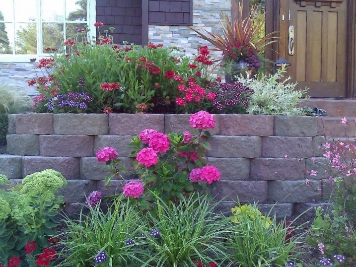 Bellevue - Curb Appeal and Color by Natural Greenscapes LLC - Photo 3