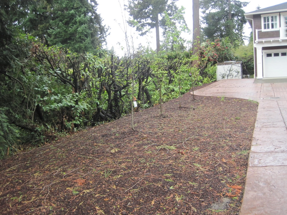 Bellevue - Curb Appeal and Color by Natural Greenscapes LLC - Photo 13