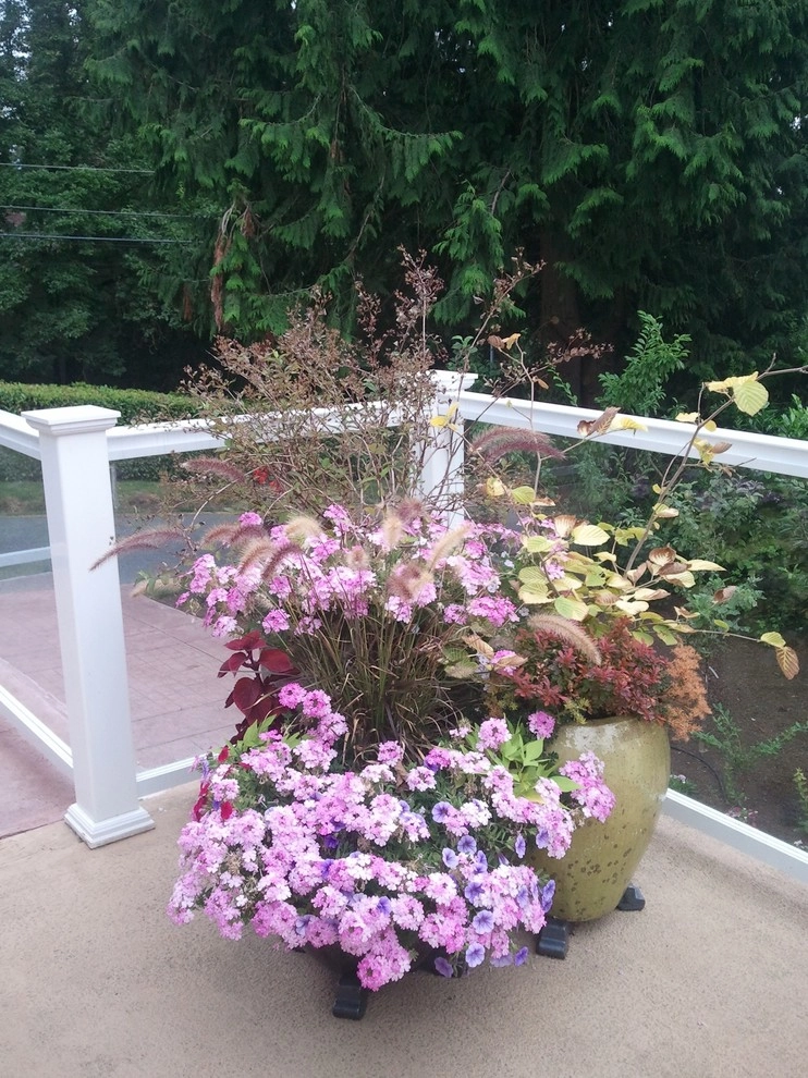Bellevue - Curb Appeal and Color by Natural Greenscapes LLC - Photo 14