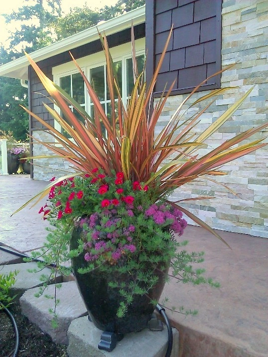 Bellevue - Curb Appeal and Color by Natural Greenscapes LLC - Photo 6