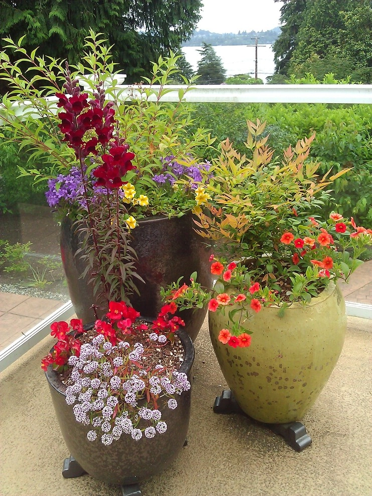 Bellevue - Curb Appeal and Color by Natural Greenscapes LLC - Photo 7