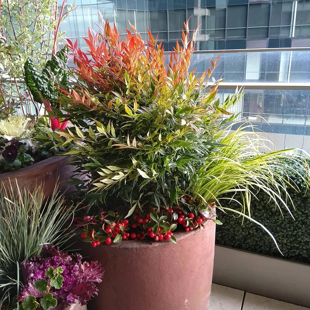 Downtown Living High-end Containers by Natural Greenscapes LLC - Photo 4