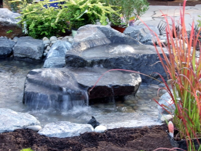 Ponds, Streams and Waterfalls by Nature Perfect Landscape And Design - Photo 6