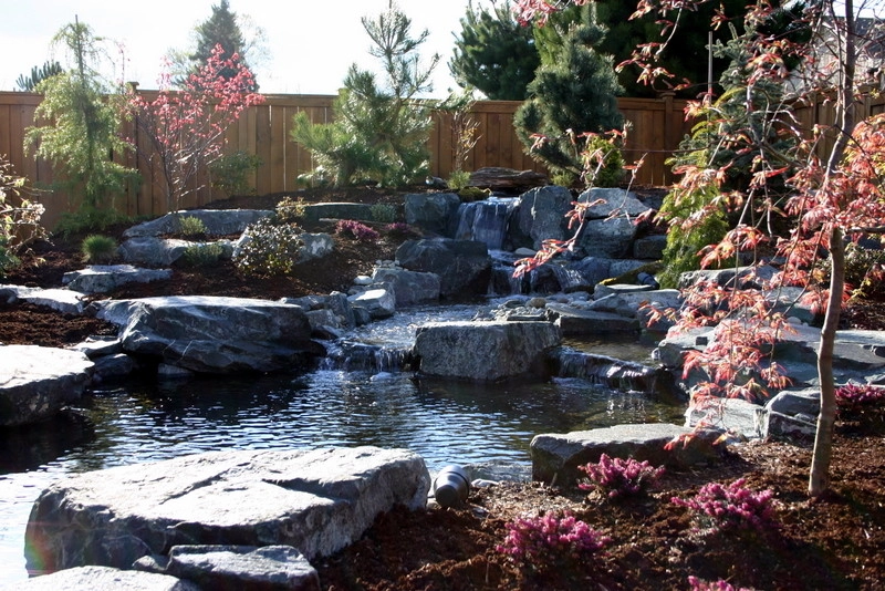 Ponds, Streams and Waterfalls by Nature Perfect Landscape And Design - Photo 5