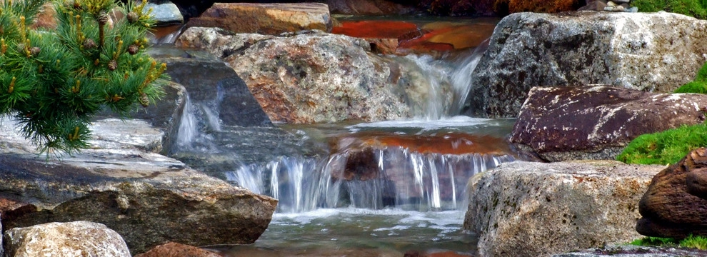 Ponds, Streams and Waterfalls by Nature Perfect Landscape And Design - Photo 2