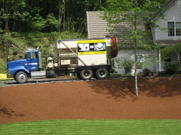 Bark Blowing Service by Nature Perfect Landscape And Design - Photo 5
