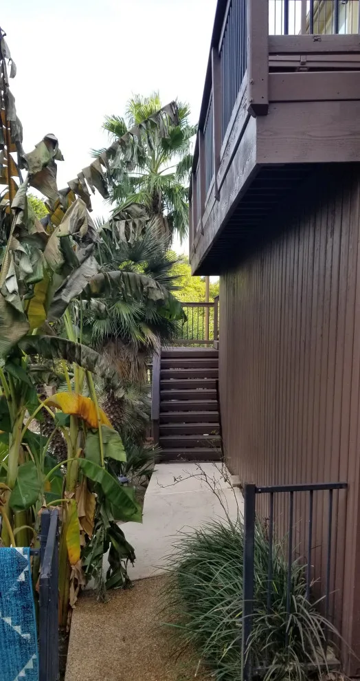 Cedar and Redwood Deck Restoration and Staining by Capitol City Wood Works LLC - Photo 4