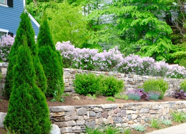 Newtonville Residence by Nawada Landscape Design, Inc. - Photo 3