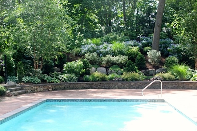 Newtonville Residence by Nawada Landscape Design, Inc. - Photo 5